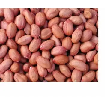 Natural Groundnut Seeds 